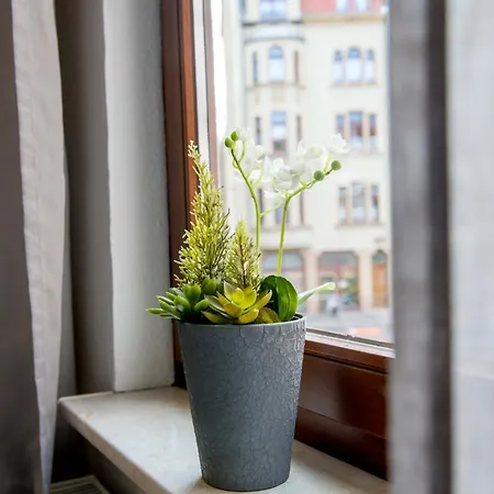 公寓 Im Zentrum Von *