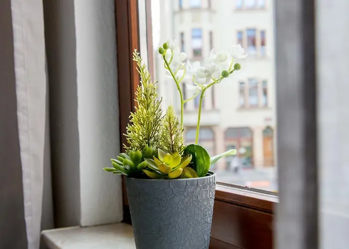 Appartement Im Zentrum Von *