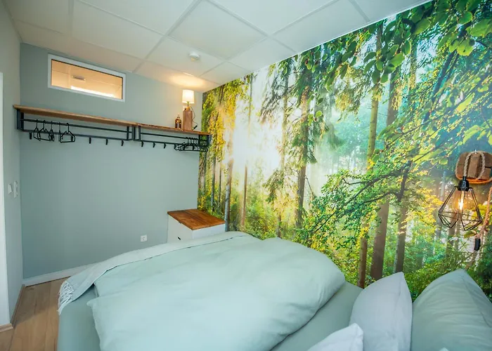 Im Zentrum Von Appartement Eisenach